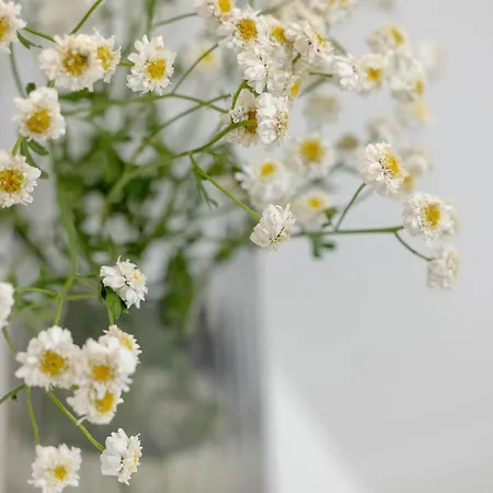 Modern Spa 아파트